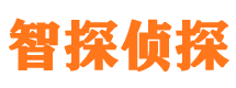 阳春外遇出轨调查取证